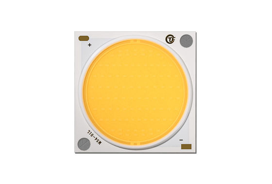 화이트 발광 컬러 LED COB 칩 전체 스펙트럼 성장 5W 7W 9W