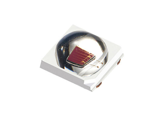 SMD3030 정원 LED 성장 빛 LED 칩 식물의 빛 소스 OEM ODM