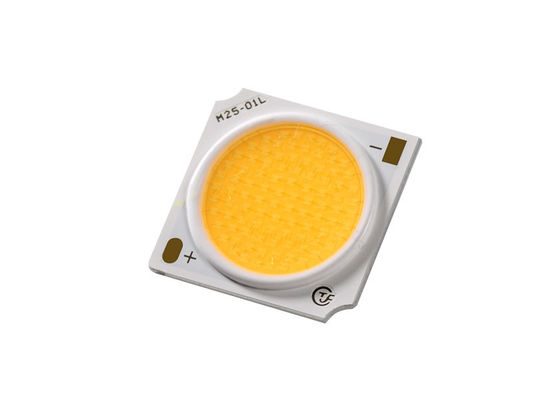 방수 칩 LED COB 30W 색상 조명용 ANSI 표준